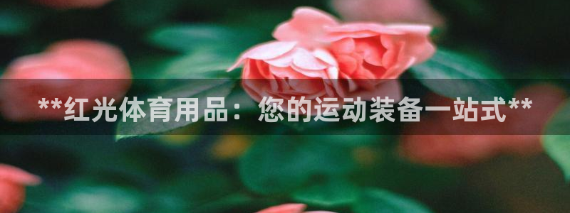 欧陆娱乐能提现嘛现在：**红光体育用品：您的运动装备