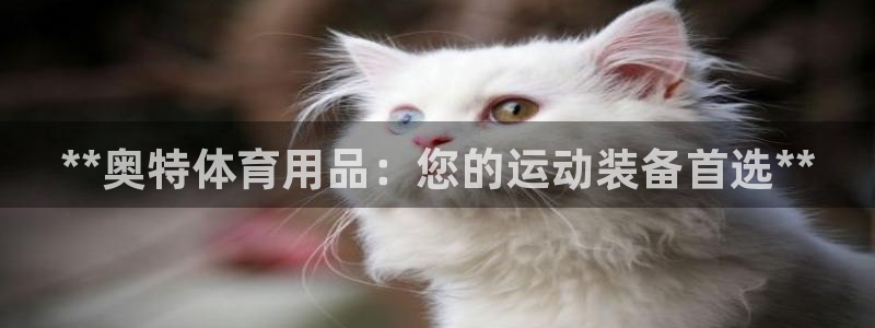 欧陆娱乐游戏特色：**奥特体育用品：您的运动装备首选