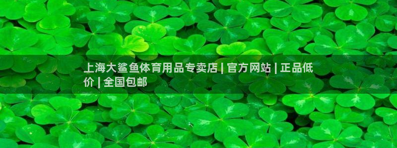 重庆欧陆娱乐有限公司怎么样：上海大鲨鱼体育用品专卖店 | 官