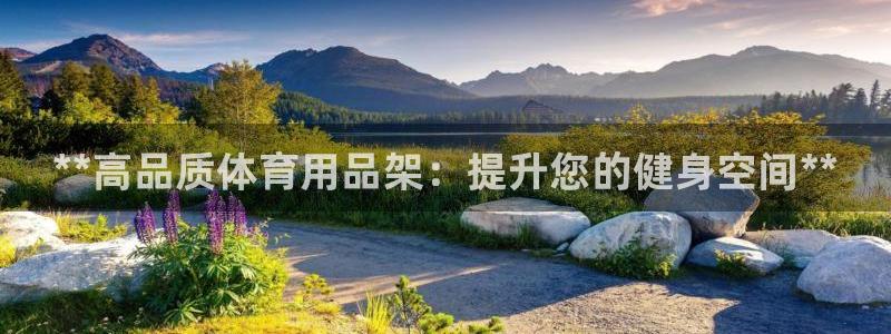 欧陆娱乐稳中：**高品质体育用品架：提升您的健身空间