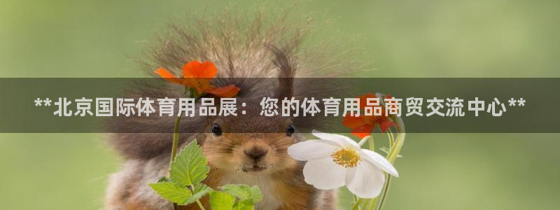 欧陆商城：**北京国际体育用品展：您的体育用品商贸交