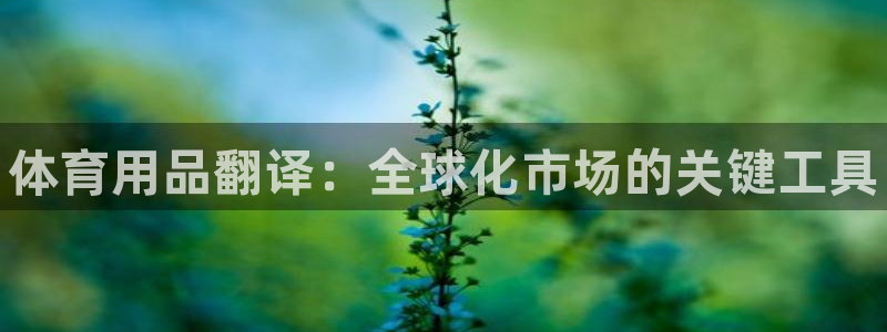 欧陆娱乐计划app官方正版安装下载苹果：体育用品翻译：全球化