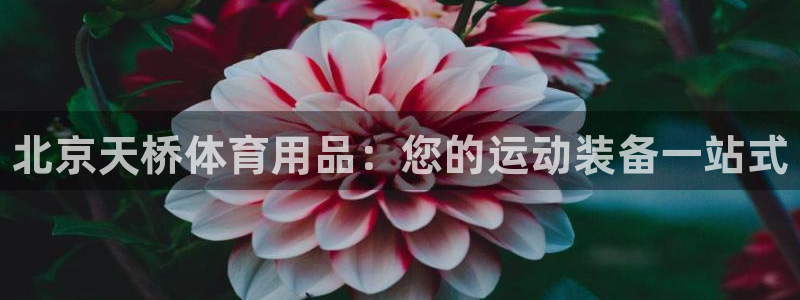 欧陆娱乐是那个旗下的品牌：北京天桥体育用品：您的运动装备一站