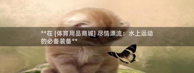 欧陆娱乐测速：**在 [体育用品商城] 尽情漂流：水