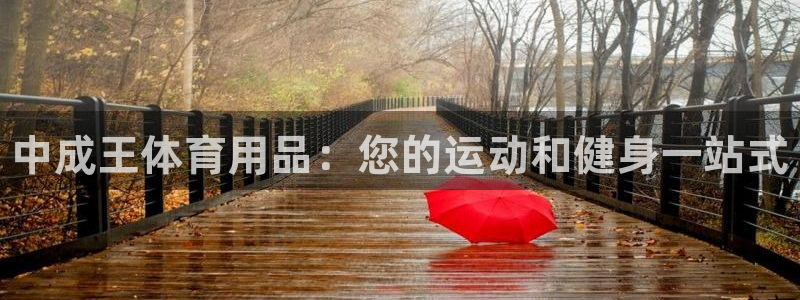 欧陆娱乐的故事：中成王体育用品：您的运动和健身一站式