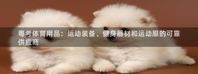欧陆娱乐脚本下载：粤考体育用品：运动装备、健身器材和运动服的