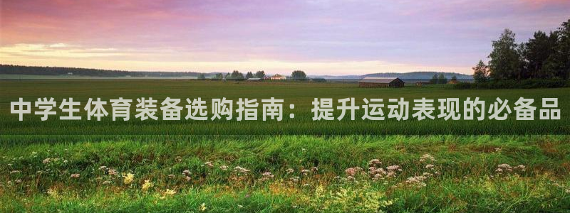欧陆娱乐注册链接安全吗可靠吗：中学生体育装备选购指南：提升运