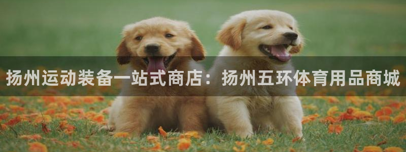 欧陆娱乐客服电话人工服务号码：扬州运动装备一站式商店：扬州五