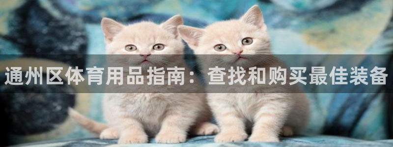 欧陆娱乐登录注册平台：通州区体育用品指南：查找和购买
