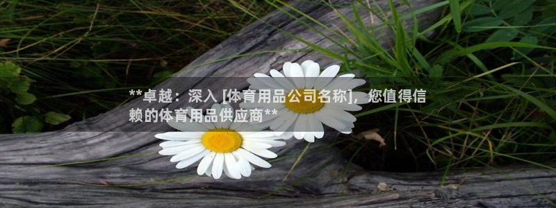 欧陆娱乐平台登录不上：**卓越：深入 [体育用品公司