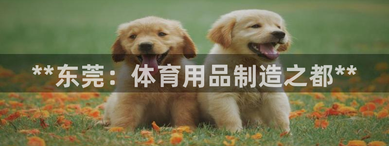 欧陆娱乐平台登录不上怎么办：**东莞：体育用品制造之