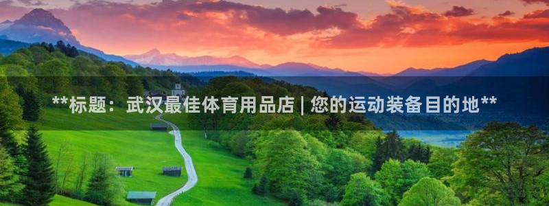 欧陆娱乐能不能玩手游：**标题：武汉最佳体育用品店 