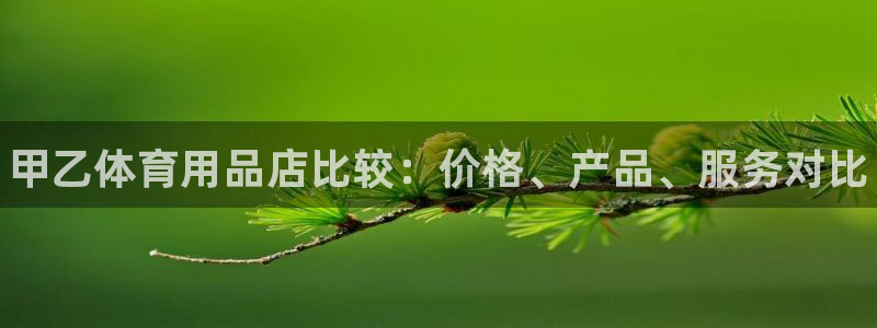 欧陆娱乐访问：甲乙体育用品店比较：价格、产品、服务对比