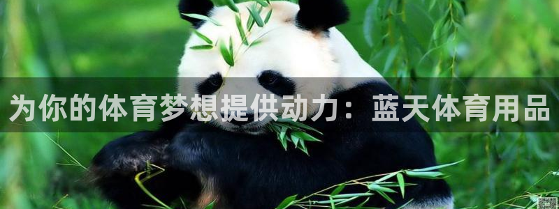 欧陆官网下载：为你的体育梦想提供动力：蓝天体育用品