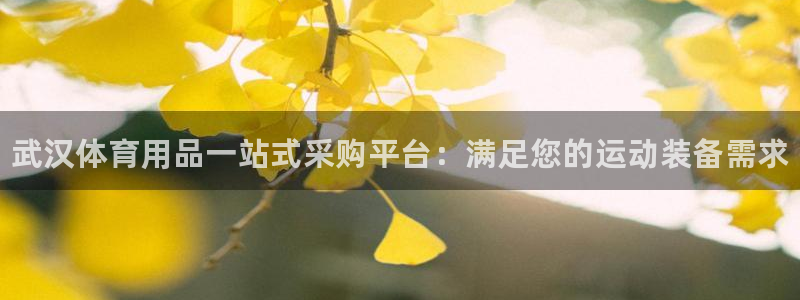 欧陆娱乐登录测速怎么关闭：武汉体育用品一站式采购平台：满足您