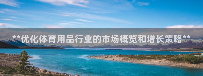 欧陆娱乐客服电话：**优化体育用品行业的市场概览和增长策略*