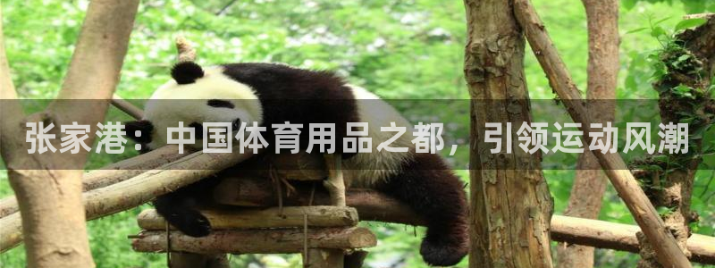 欧陆娱乐测速网站：张家港：中国体育用品之都，引领运动风潮
