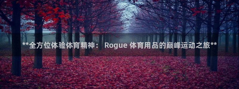 欧陆娱乐登录官网下载：**全方位体验体育精神： Rogue 