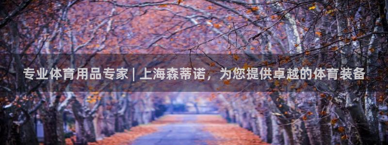 欧陆娱乐登陆平台有哪些：专业体育用品专家 | 上海森蒂诺，为